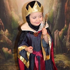 Disney evil queen costume